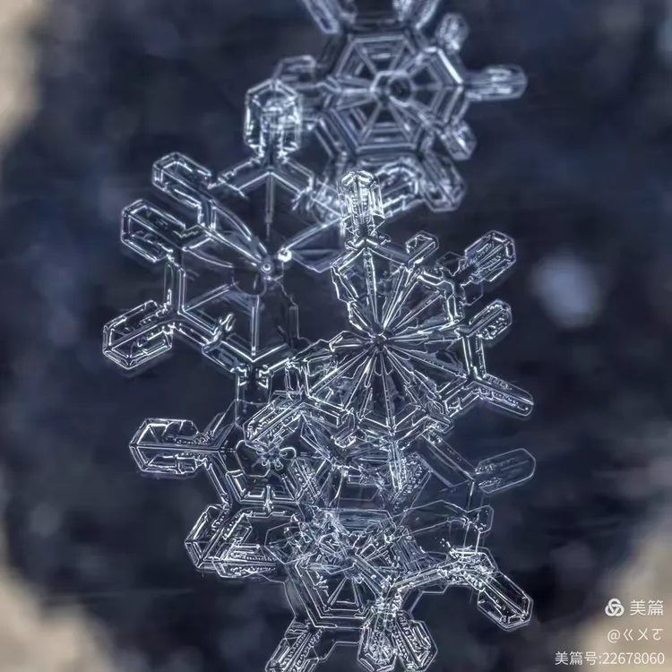 雪花